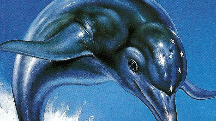 Ecco the Dolphin 1